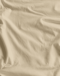 Beige Nhạt x c9b99e x ph022.png