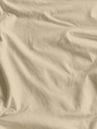 Beige Nhạt x c9b99e x ph022.png