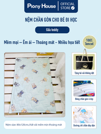 gấu teddy.png