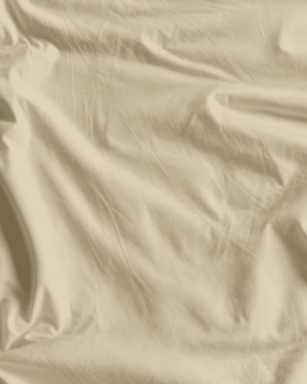 Beige Nhạt x c9b99e x ph022.png