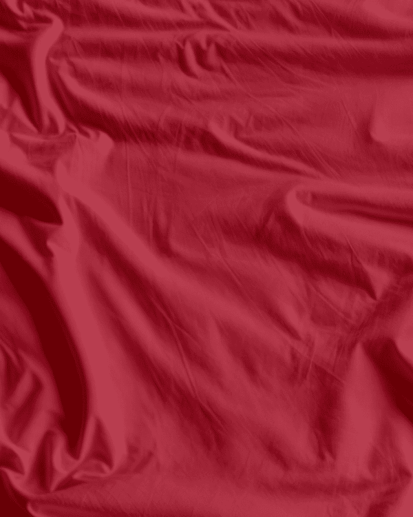 Đỏ mận x ae3345 x ph001.png