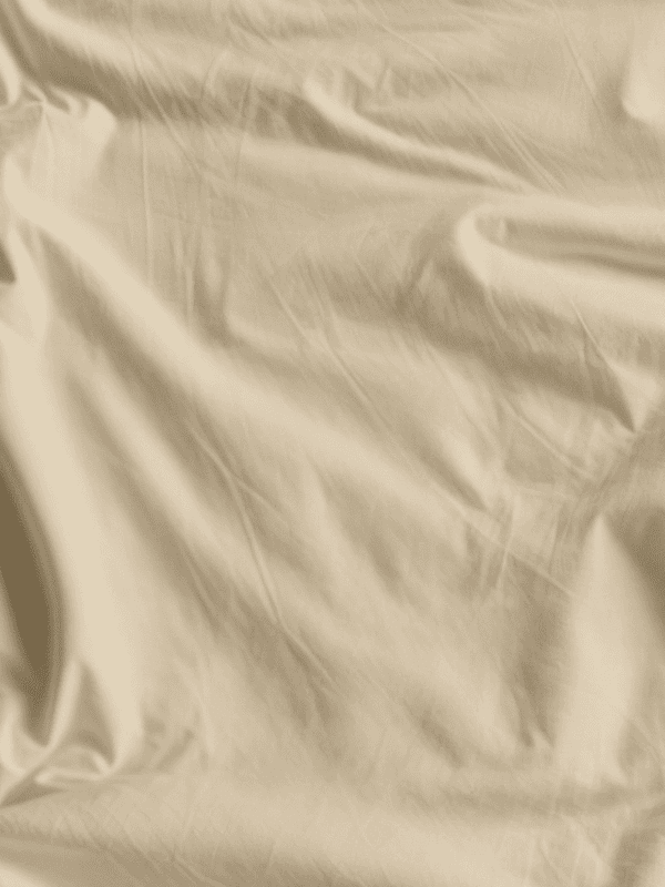 Beige Nhạt x c9b99e x ph022.png
